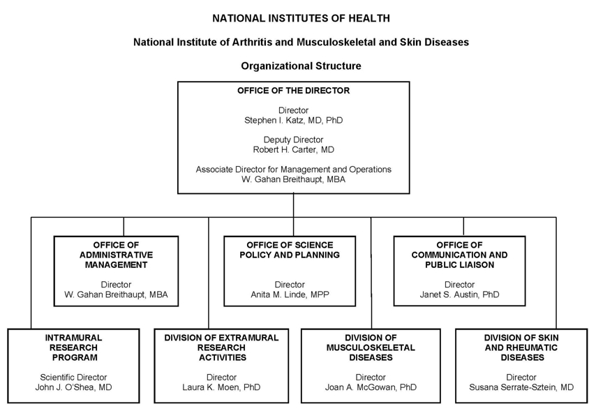 Organization chart for the National Institute of Arthritis and Musculoskeletal and Skin Diseases (NIAMS). Organization chart for the National Institute of Arthritis and Musculoskeletal and Skin Diseases (NIAMS). The chart shows 8 boxes, the overarching box contains the names of the Director, Deputy Director and the Associate Director for Management and Operations. The Director of NIAMS is Stephen I. Katz, M.D., Ph.D., the Deputy Director is Robert H. Carter, M.D., the Associate Director for Management and Operations is W. Gahan Breithaupt, M.B.A. The top box subsumes 7 boxes beneath. The director's 7 direct reports are: Office of Administrative Management Director, W. Gahan Breithaupt, M.B.A., Office of Science Policy and Planning Director, Anita M. Linde, M.P.P., Office of Communication and Public Liaison Director, Janet S. Austin, Ph.D., Intramural Research Program Scientific Director, John J. O'Shea, M.D., Division of Extramural Research Activities Acting Director, Laura K. Moen, Ph.D., Division of Musculoskeletal Diseases Director, Joan A. McGowan, Ph.D., Division of Skin and Rheumatic Diseases Director, Susana Serrate-Sztein, M.D.