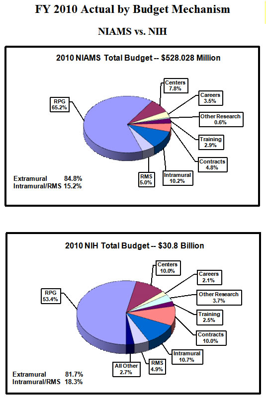 Top pie chart shows NIAMS' budget and bottom pie chart shows N.I.H's 2010 budget. NIAMS total budget is $528.028 million. Extramural spending is 84.8%. Intramural and Research management and support spending is 15.2%. Research management and support, 5.0%. Intramural research, 10.2%. Contracts, 4.8%. Training, 2.9%. Other research, 0.6%. Careers, 3.5%. Centers, 7.8%. Research project grants (RPGs), 65.2%. N.I.H's total budget is $30.8 billion. Extramural spending is 81.7%. Intramural and Research management and support spending is 18.3%. All Other, 2.7%. Research management and support, 4.9%. Intramural research, 10.7%. Contracts, 10.0%. Training, 2.5%. Other research, 3.7%. Careers, 2.1%. Centers, 10.0%. Research project grants (R.P.Gs) 53.4%.