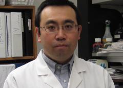 Yasuyoshi Ueki MD PhD