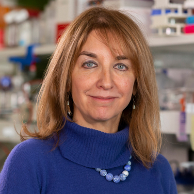NIH Director Mariana J. Kaplan M.D Profile