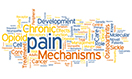Infographic: Pain Registries and Other NIH Pain Resources