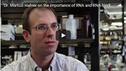 Dr. Markus Hafner on the importance of RNA and RNA-binding proteins in gene expression and disease.
