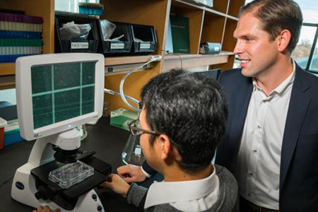 Study co-authors Jonathan Hoggatt, Ph.D., (r) and Bin-Kuan Chou, Ph.D., (l) look through a microscope at a patient’s mobilized stem cells.