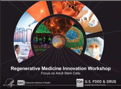 screenshot of Video of December’s Regenerative Medicine Innovation Workshop