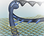 DNA strands passing through the nanopore sensor