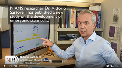 Screenshot of Vittorio Sartorelli, M.D., from the video introducing his team's findings.